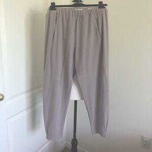 Aritzia - BABATON Dexter Pant